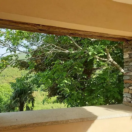 Cap Corse - - Maison De Charme 6 Personnes Semesterbostad *