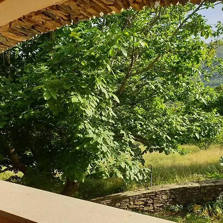 Cap Corse - - Maison De Charme 6 Personnes Nyaraló