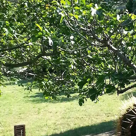 Cap Corse - - Maison De Charme 6 Personnes Nyaraló Sisco