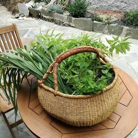 Cap Corse - - Maison De Charme 6 Personnes * Sisco