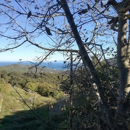 Cap Corse - - Maison De Charme 6 Personnes