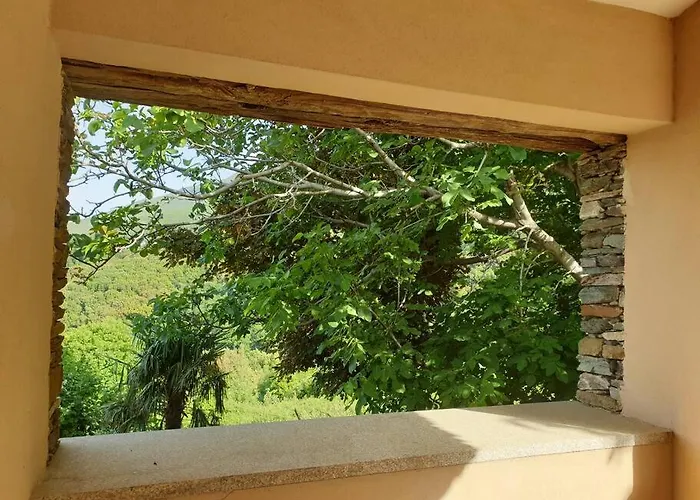 Cap Corse - - Maison De Charme 6 Personnes Nyaraló *