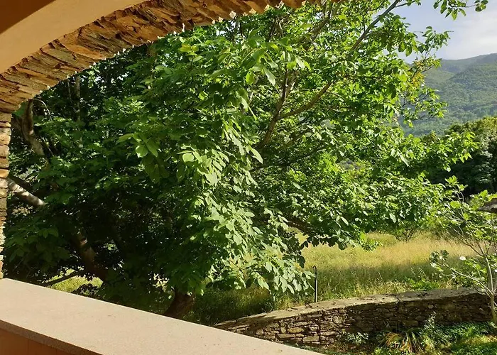 Cap Corse - - Maison De Charme 6 Personnes Vakantiehuis