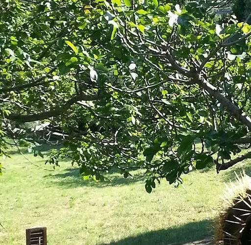 Cap Corse - - Maison De Charme 6 Personnes Vakantiehuis Sisco