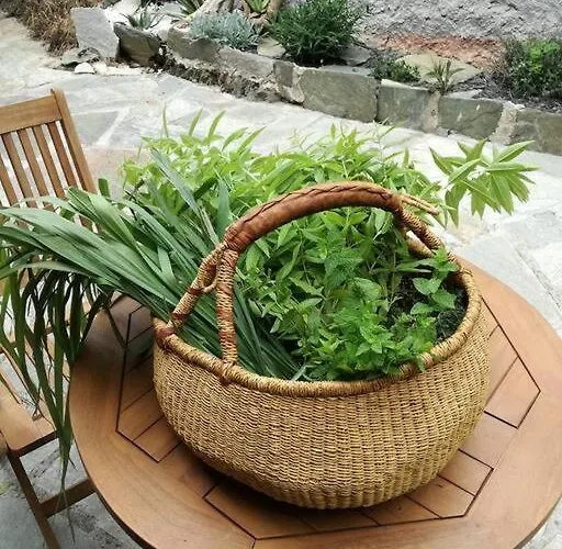 Cap Corse - - Maison De Charme 6 Personnes * Sisco